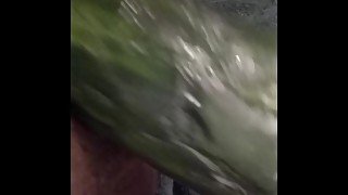 Shoving a Cucumber in my fat pussy