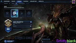 zerg fucking protoss up hard - no commentary