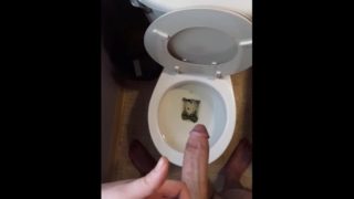 Dbuddy pissing