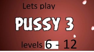 PC game - pussy 3 - levels 6-12