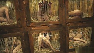 Rabbit Hutch full