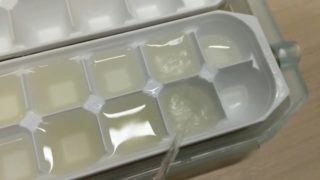 Piss into ice tray