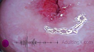 Cervix Pulse Heartbeat Orgasms EKG - Sophie Adulting