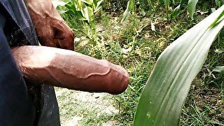 Indian Public Big Cock Porn