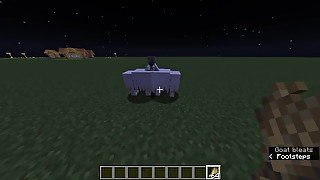 How To Have Sex In Minecraft Without Mods