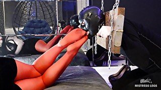 Shackled slave worships mistress's red nylon legs