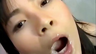 Asia Swallow 1