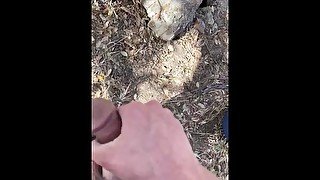 Gay jerking off in the woods