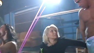 Milf and Coed suck strippers cock