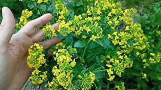 Flirting with beautiful flowers