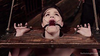 Yhivi - Slave Training: Tied Tight And Pounded Hard