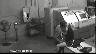 Co workers masturbating in horny office warehouse