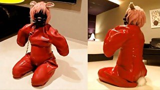 Latex Bitchsuit