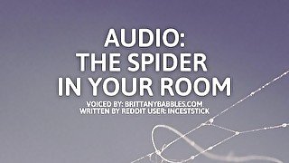 Audio: The Spider In Your Room