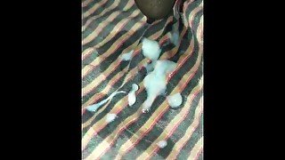 Sperm Video