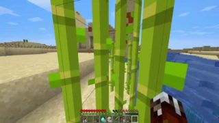 Hardcore Minecraft Episode 1: Soup