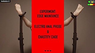 EXPERIMENT: EDGE MAINTENANCE