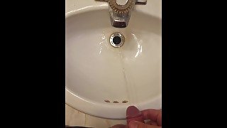 SoloTouch Sink Pissing