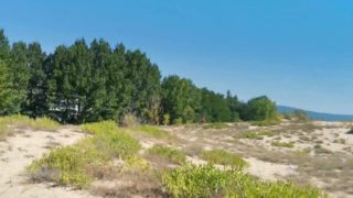 Quick piss in the sand dunes 