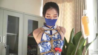 Chinese bondage 281