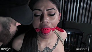 Fabulous Sex Scene Tattoo Full Version - Rose Darling