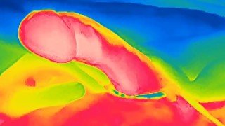 Thermal camera erection, feel the warmth of my cock and see the white hot cum