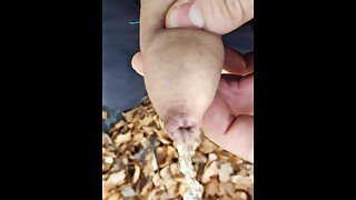 Piss in the nature:  cute cock with foreskin