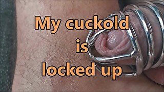 Cuckold is locked up and Wife fucks with bull