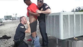 Gay young suck police white guy sucking black cops cock Apprehended