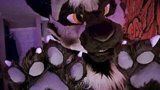 HOT FURSUITER COCK TEASE