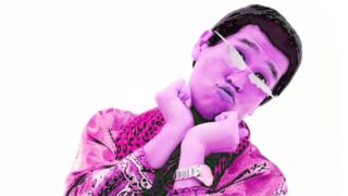 Pikotaro  ppap (pen pineapple apple pen)