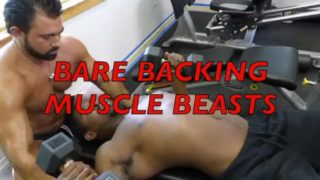 Barebacking Muscle Beasts Teaser