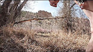 Swinging In the Trees