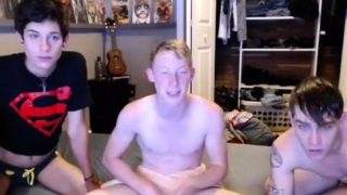 Exciting webcam twinks get together for a hot gay threesome