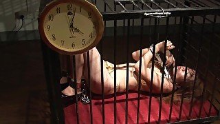 Three Long Hours In A Cage