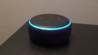 Alexa talks dirty to a horny man