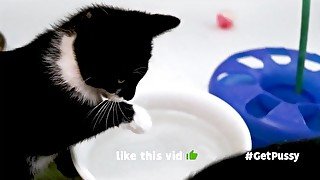 TINY THIRSTY BLACK PUSSY GETS REALLY WET 