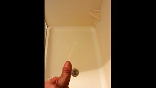 Hotel Shower Piss