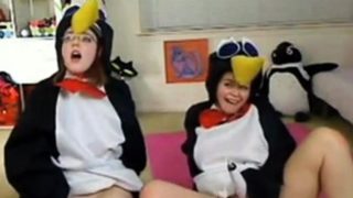 Teen penguins on cam