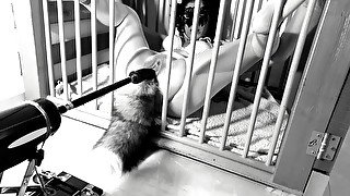 A Day In A Life Of A Kitten: Ep.1 - Squirting On Her Tail Bdsmlovers91