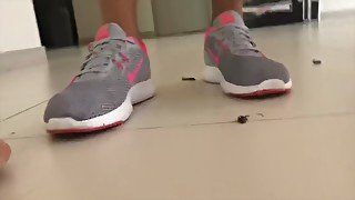 Anna squishes cockroaches under her Nike Sneakers!